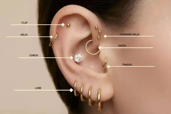 Ucho ozdobione licznymi kolczykami: płaskie, helix, conch, lobe, forward helix, daith, tragus. Poznaj nazwy kolczyków w uchu.