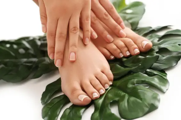 Dłonie i stopy z perfekcyjnym pedicure french na tle zielonych liści.